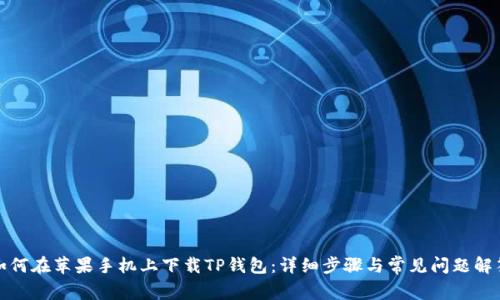 如何在苹果手机上下载TP钱包：详细步骤与常见问题解答